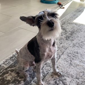 Meet your Posher, Stuart